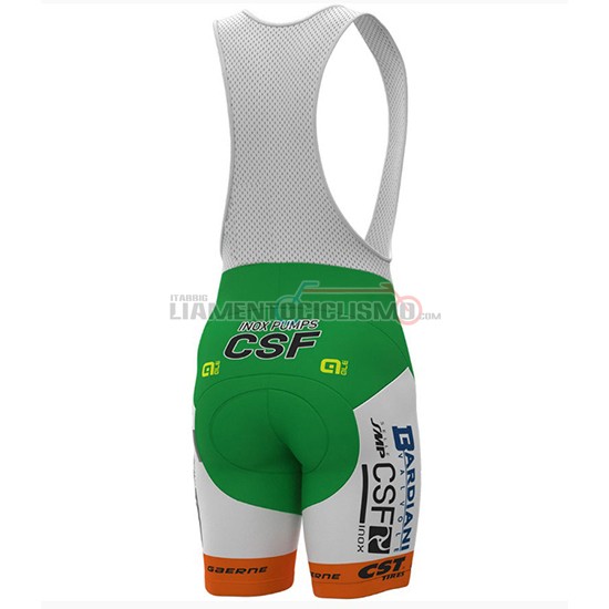 Abbigliamento Ciclismo Bardiani Csf Manica Corta 2018 Verde e Bianco